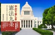 【書評】護憲派が罹患する「９条至上主義症候群」という不治の病